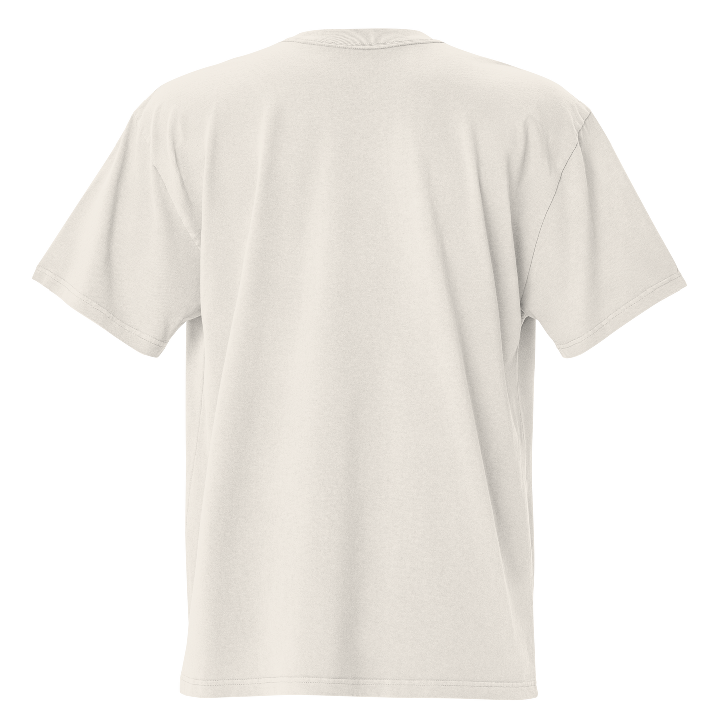 Punk Macaw of La Castellana Unisex Oversized T-Shirt – by Mondo Pupo